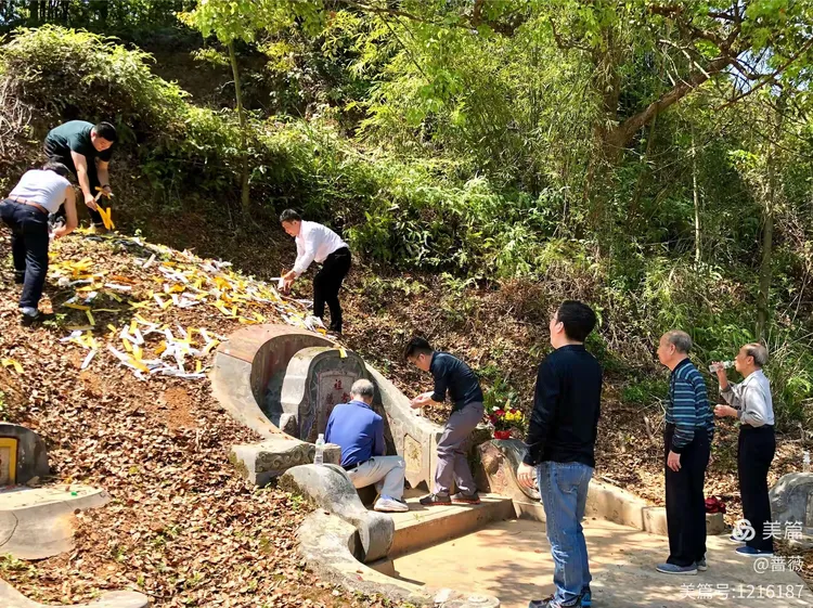 上山扫墓的路途荆棘丛生，坡滑